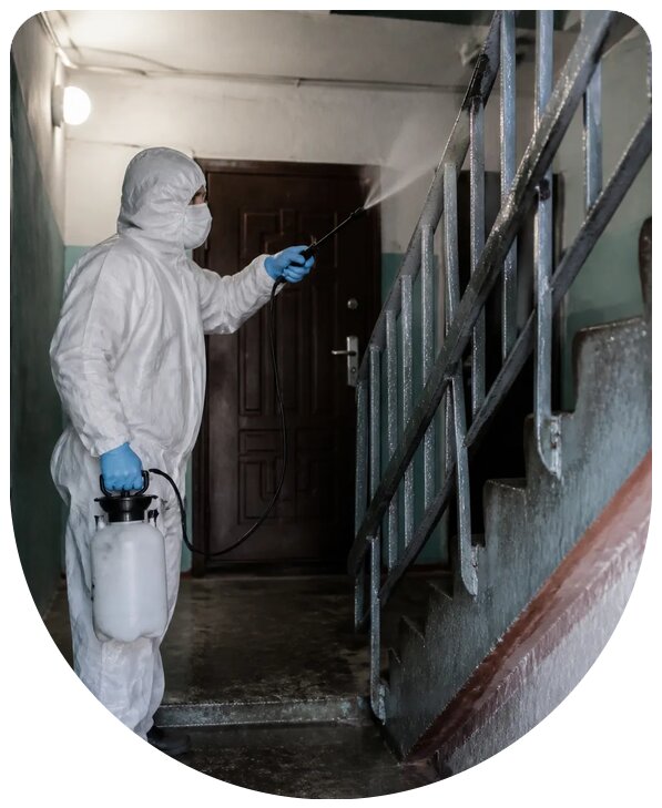 Профессиональная дезинфекция подъезда дома в Наро-Фоминске